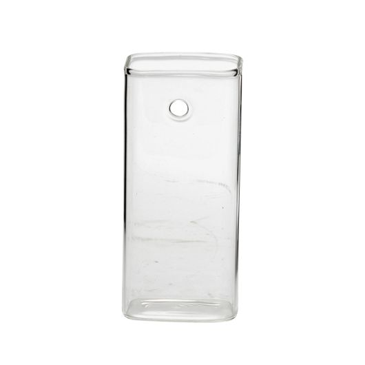 Clear Glass Hanging Wall Sage Vase
