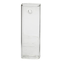 Load image into Gallery viewer, Clear Glass Hanging Wall Sage Vase
