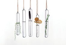 Load image into Gallery viewer, Metal and Glass Hanging Test Tube Vase

