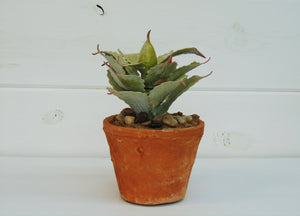 Artificial Succulent In Ceramic Pot