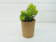 Load image into Gallery viewer, Artificial Succulent In Paper Pot #1
