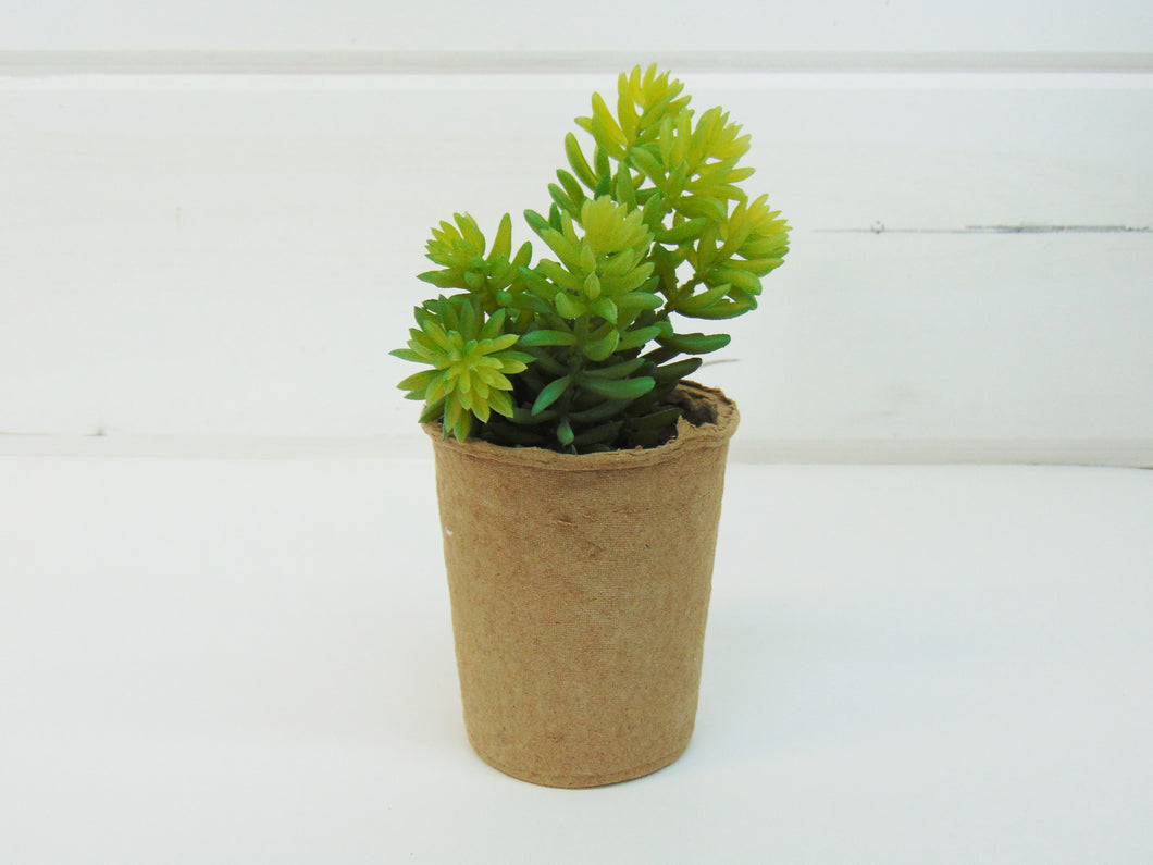 Artificial Succulent In Paper Pot #1