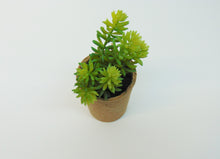 Load image into Gallery viewer, Artificial Succulent In Paper Pot #1
