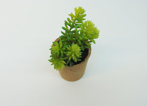 Artificial Succulent In Paper Pot #1