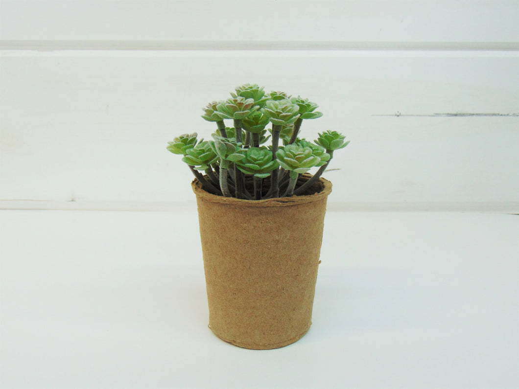 Artificial Succulent In Paper Pot #2