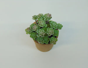 Artificial Succulent In Paper Pot #2