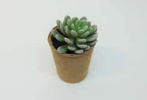 Artificial Succulent In Paper Pot #3
