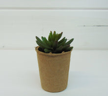 Load image into Gallery viewer, Artificial Succulent In Paper Pot #4
