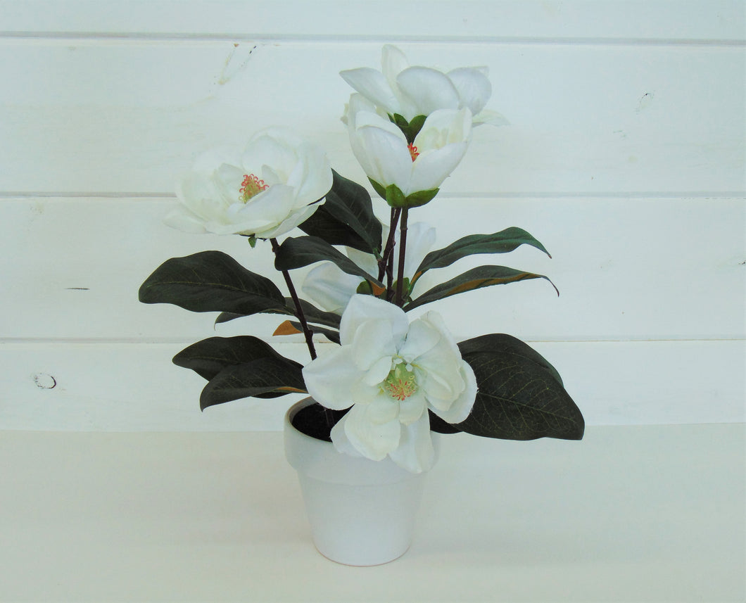 Artificial White Flowers In White Pot