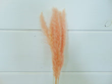 Load image into Gallery viewer, Artificial Pink Pampas Grass Stalk
