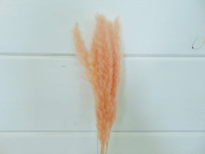 Artificial Pink Pampas Grass Stalk