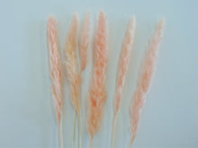 Load image into Gallery viewer, Artificial Pink Pampas Grass Stalk
