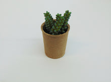 Load image into Gallery viewer, Artificial Succulent In Paper Pot #6
