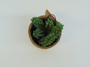 Artificial Succulent In Paper Pot #6