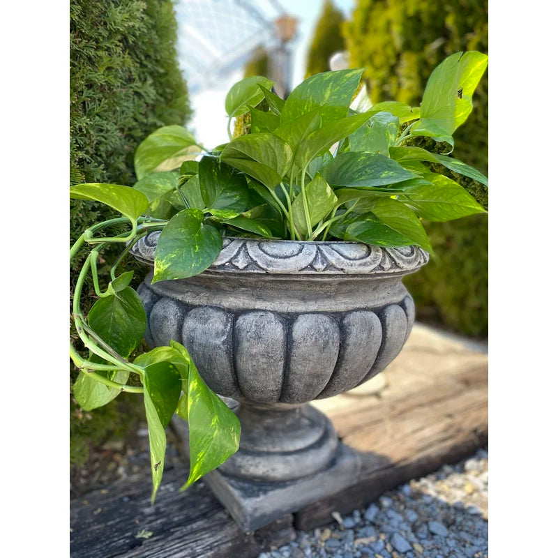 Concrete Garden Florentine Planter/Pot