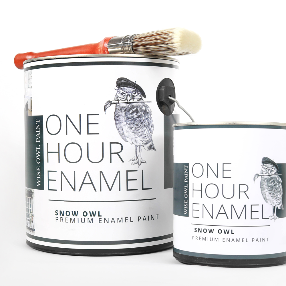 Wise Owl One Hour Enamel Paint - Quart ( 32 oz )