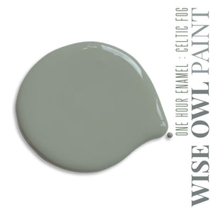 Wise Owl One Hour Enamel Paint - Gallon