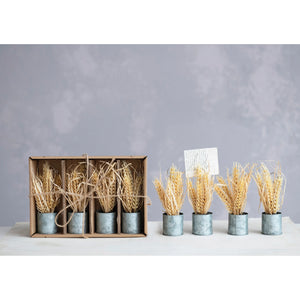 6"H Faux Wheat Place Card/Photo Holders in Galvanized Metal Pot, Boxed Set of 4
