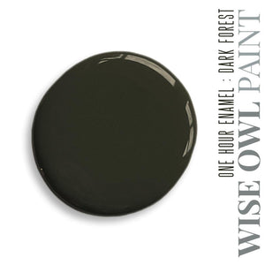 Wise Owl One Hour Enamel Paint - Gallon